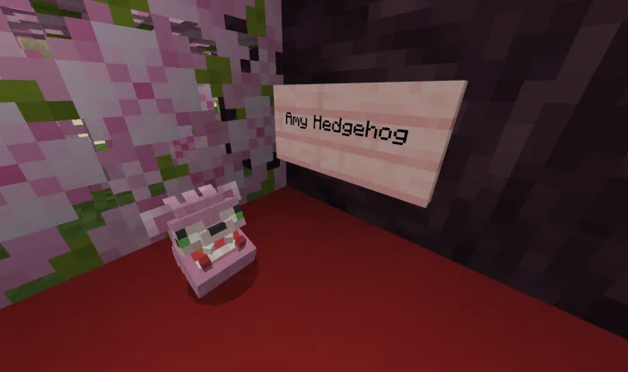 Amy Hedgehog