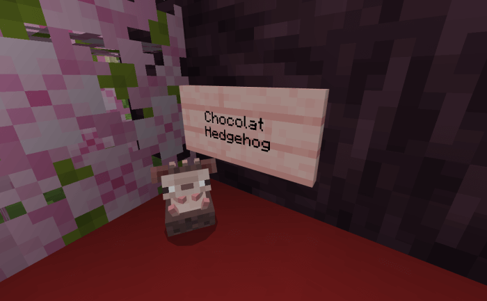 Chocolat Hedgehog