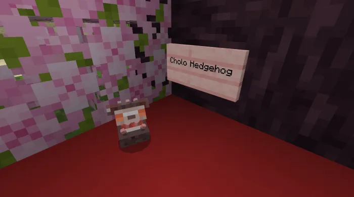 Cholo Hedgehog
