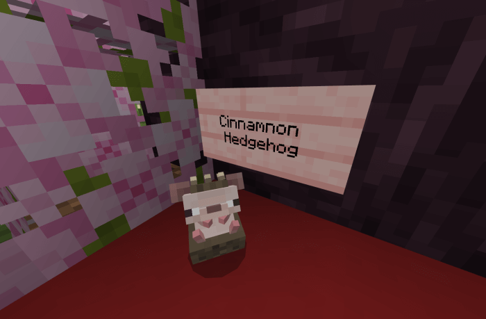 Cinnamnon Hedgehog
