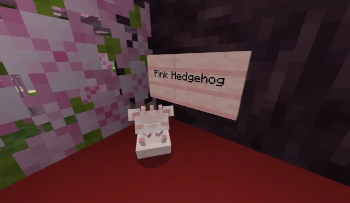 Pink Hedgehog
