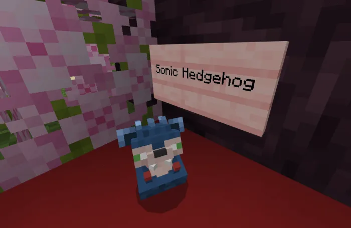 Sonic Hedgehog