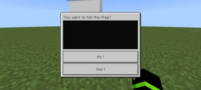 Hide the Flag Confirmation