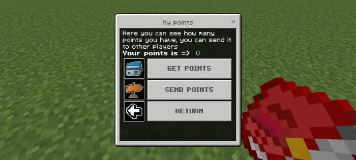 My Points Menu