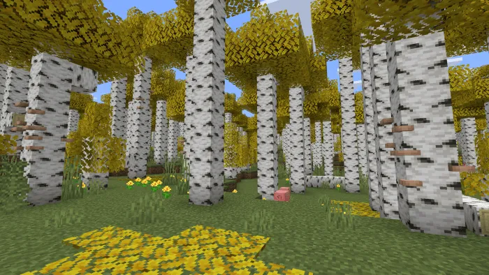 Aspen Forest: Screenshot