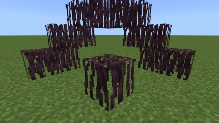 Cherry Roots