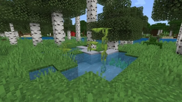 Clay Pond