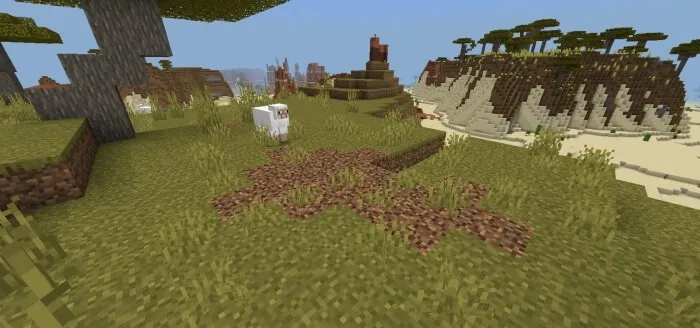 Coarse Dirt Patch