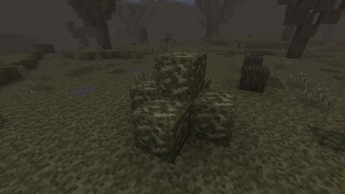 Corrupted Dirt Fossil