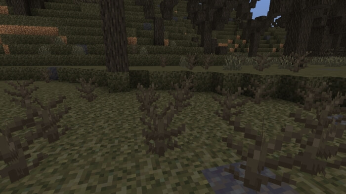 Corrupted Oak Sapling Vegetation