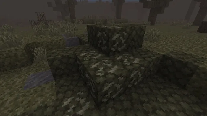 Corrupted Stone Fossil