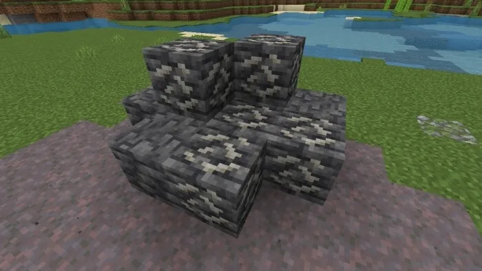 Deepslate Fossil