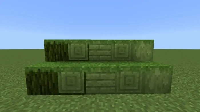Grassed Mossy Woods