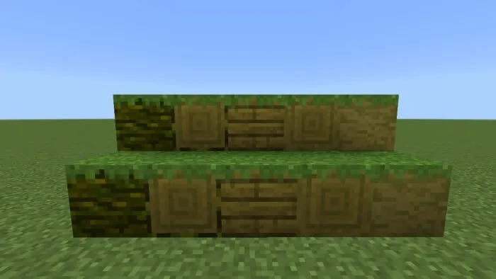Grassed Overgrown Jungle Woods