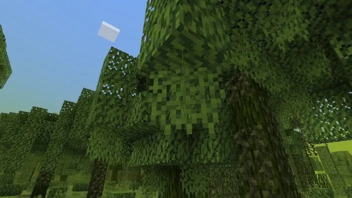 Hanging Moss