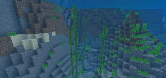 Kelp Vegetation