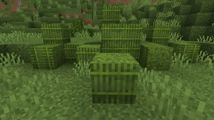 Lush Grass Bale