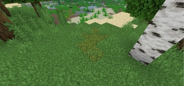 Moss Block Patch