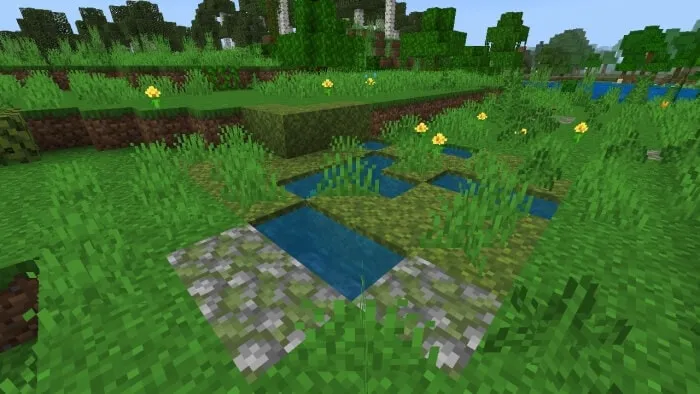 Moss Pond