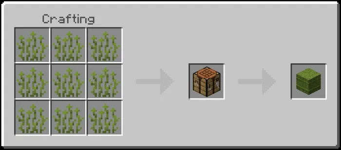 Moss Sprouts Bale Recipe