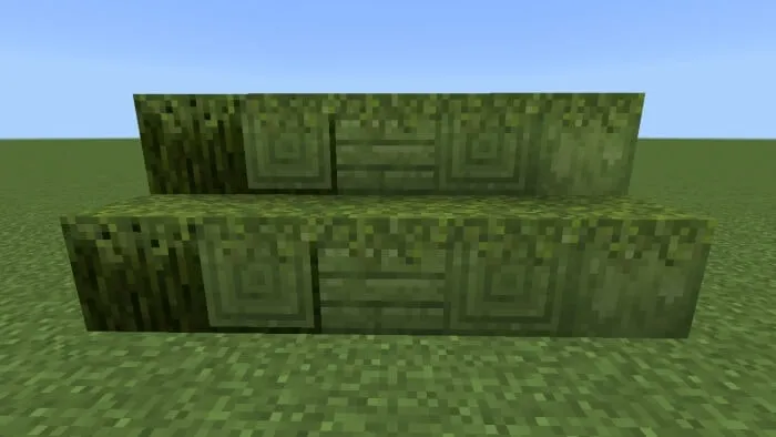Mossed Mossy Woods