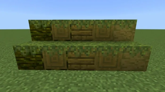 Mossed Overgrown Jungle Woods
