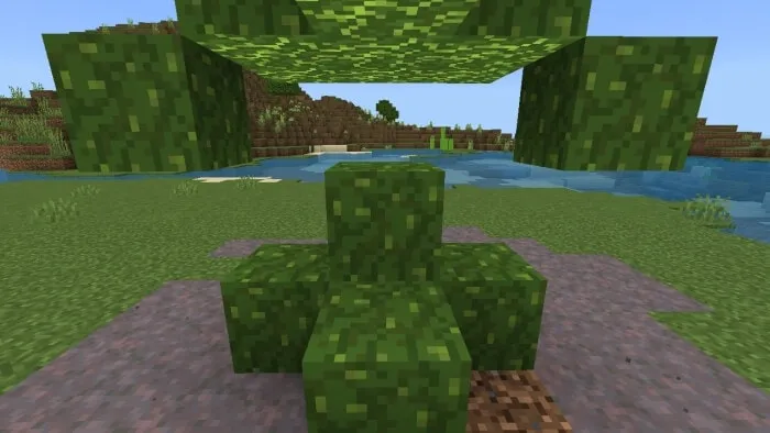 Mosshroom Block