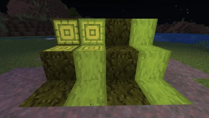 Mosshroom Hyphaes
