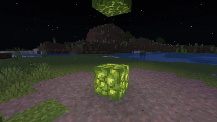Mosshroom Light: Screenshot 2