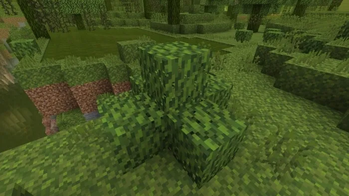 Mossy Leaves