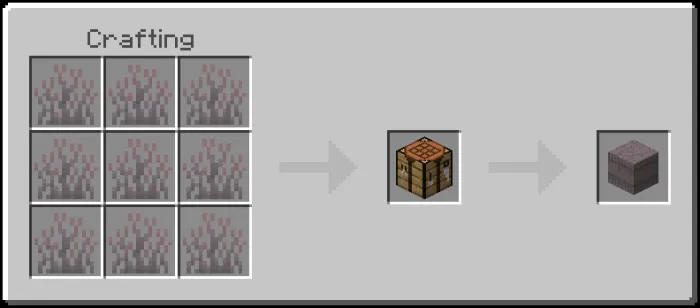 Mycelium Sprouts Bale Recipe