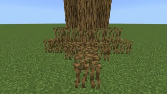 Oak Roots