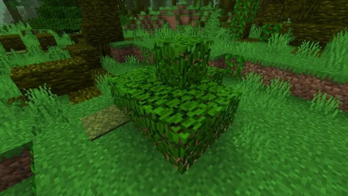 Overgrown Jungle Leaves