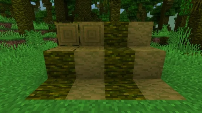 Overgrown Jungle Woods