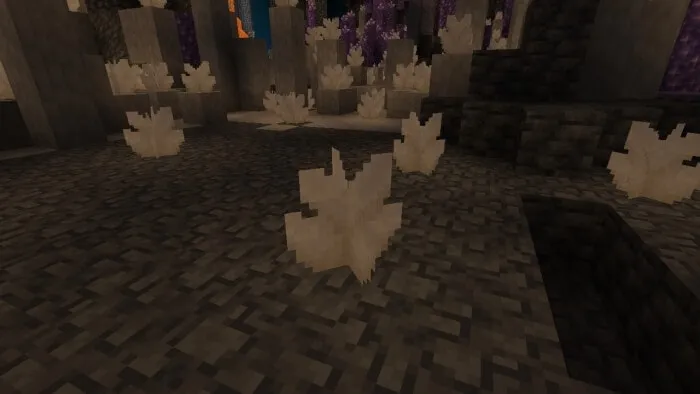Quartz Cluster