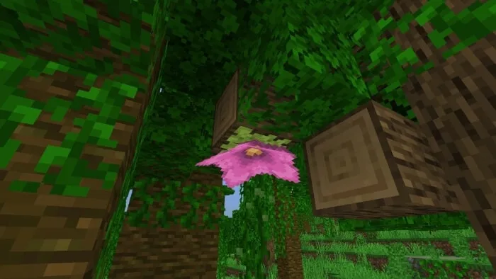 Spore Blossom
