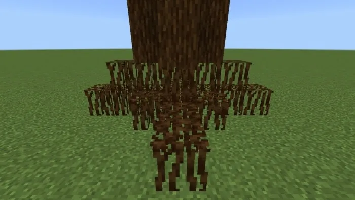 Spruce Roots