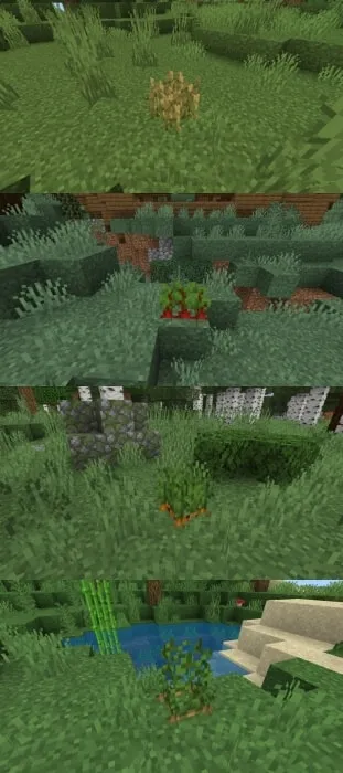 Wild Crops