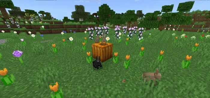 Wild Pumpkin