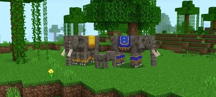 Borneo Elephant
