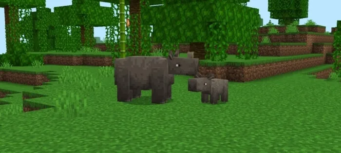 Javan Rhino