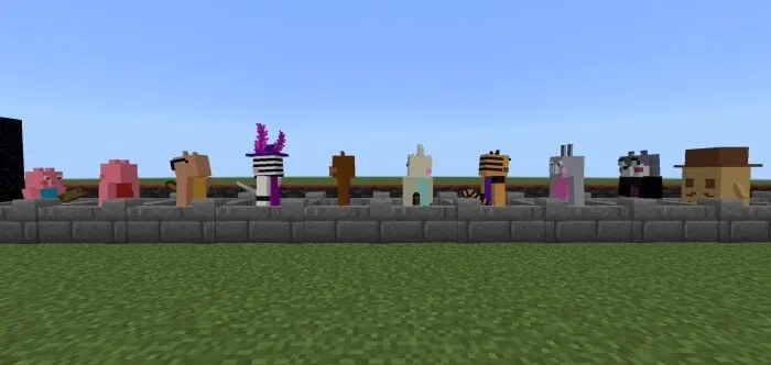 All NPC