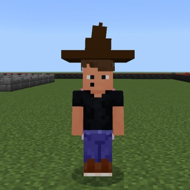 Farmer Hat: Screenshot