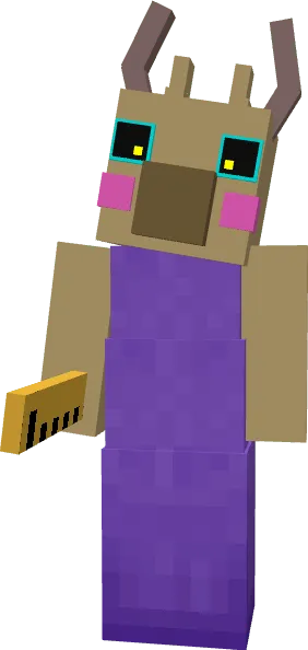 Teacher