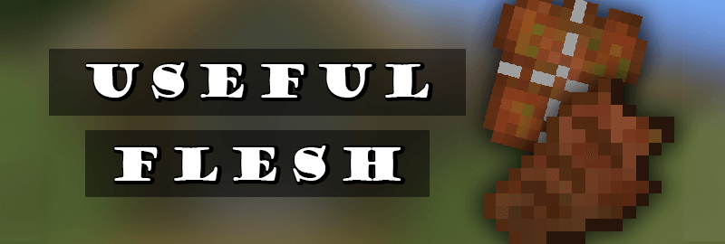 Thumbnail: Useful Flesh