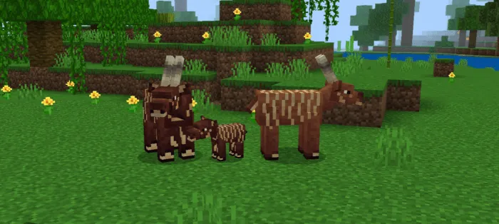 Bongo Antelope