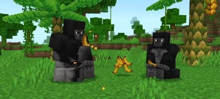 Gorilla