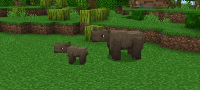 Sumatran Rhino
