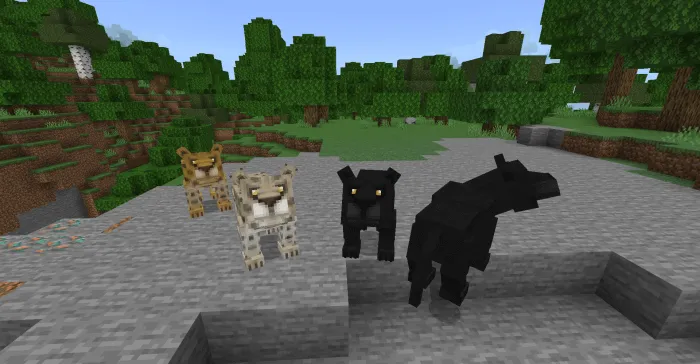 Coguars: Screenshot