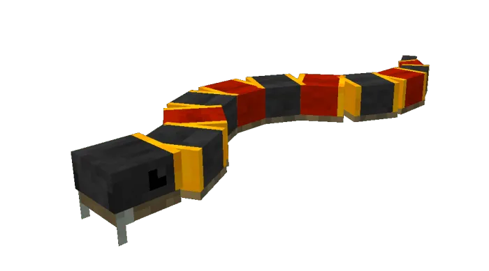 Coral Snake